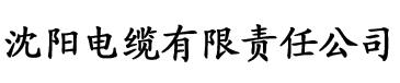 成人电影播放器电缆厂logo